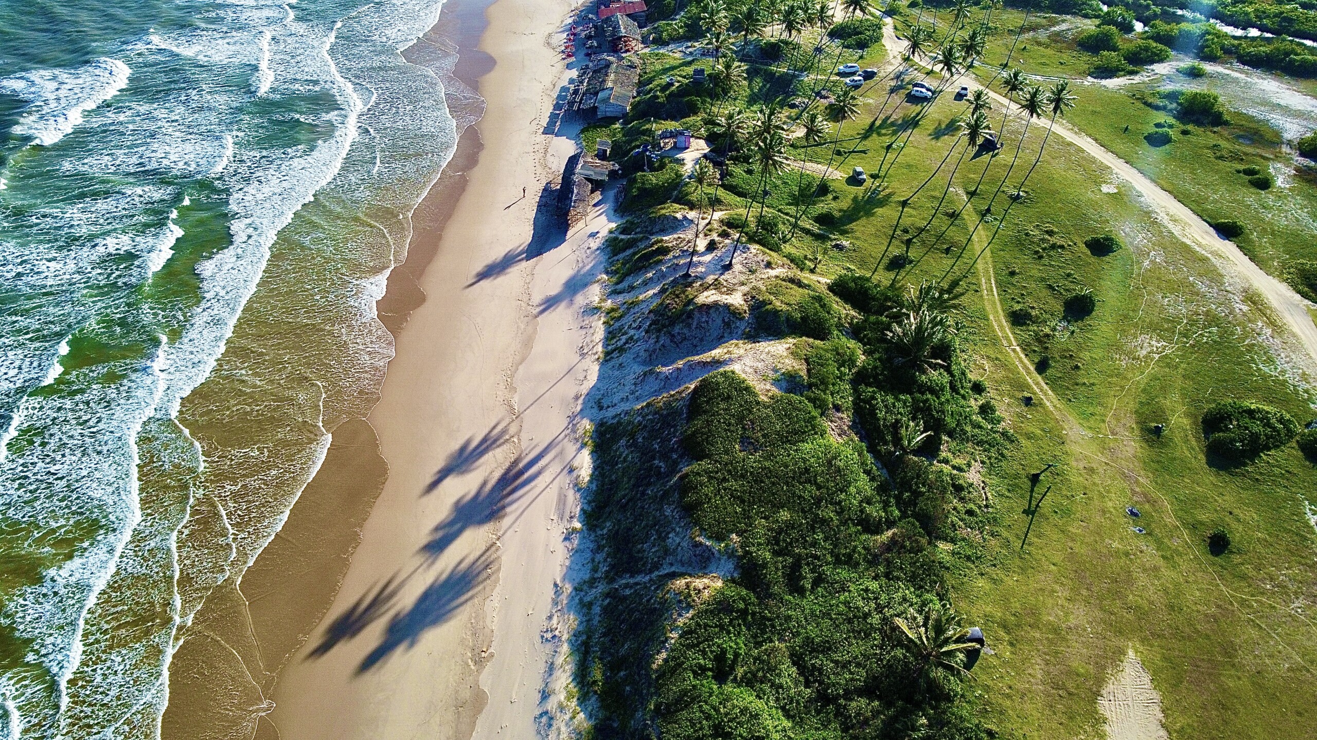 Praia do Forte i Projekt Tamar: Gdzie Spotykają Się Spokój i Poczucie Sensu